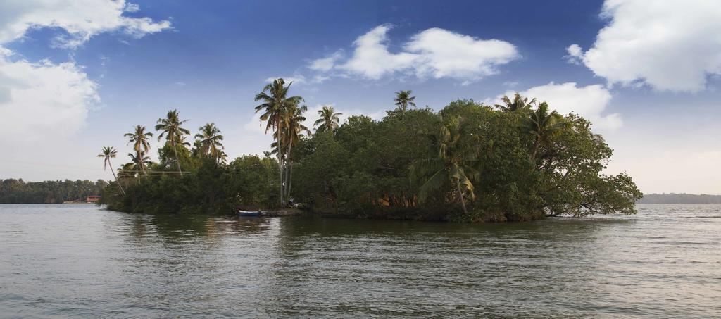 Vinis Farm - A Private Island Stay -Privacy Redefined !!! Mundrothuruth ภายนอก รูปภาพ