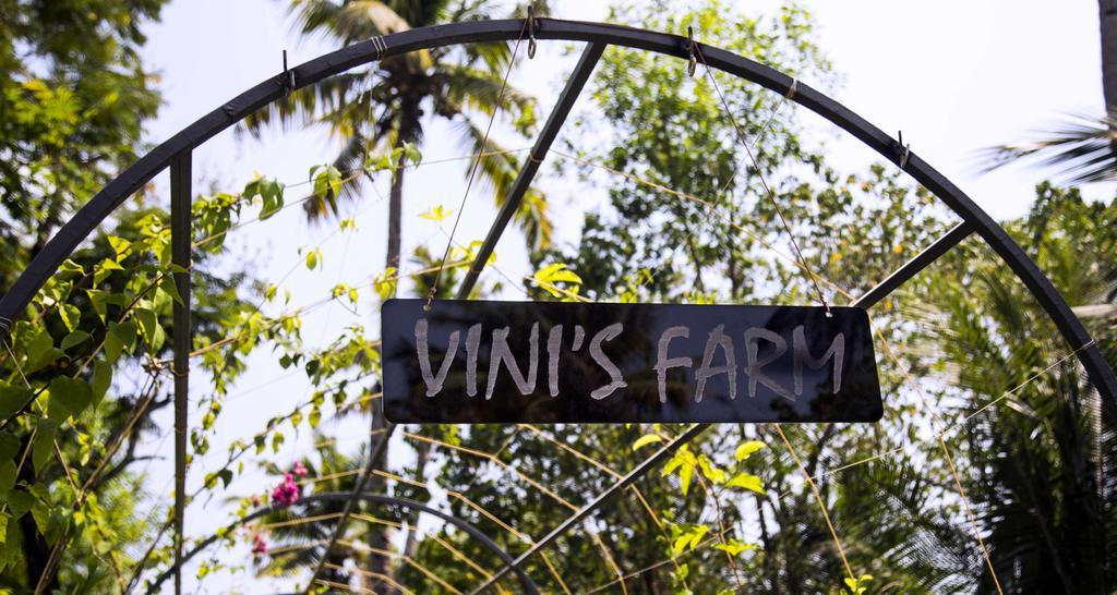 Vinis Farm - A Private Island Stay -Privacy Redefined !!! Mundrothuruth ภายนอก รูปภาพ
